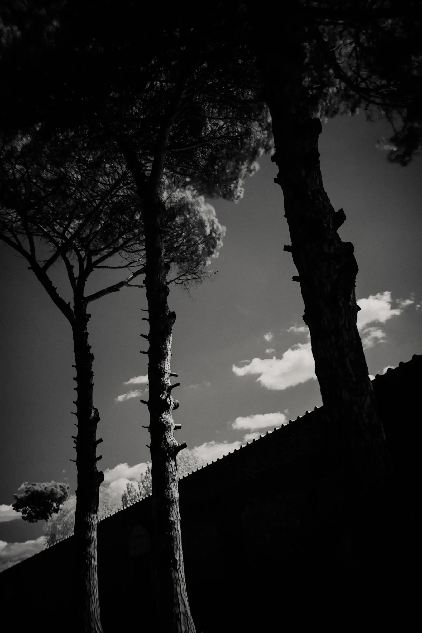 ALLEE SELIM AFTER US 19, photographie noir et blanc par Selim Allee